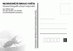 Nejkrásnější brouci světa ing. Oldřich Jahn