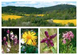Šumava pohlednice - Nakladatelství Radovana Rebstöcka